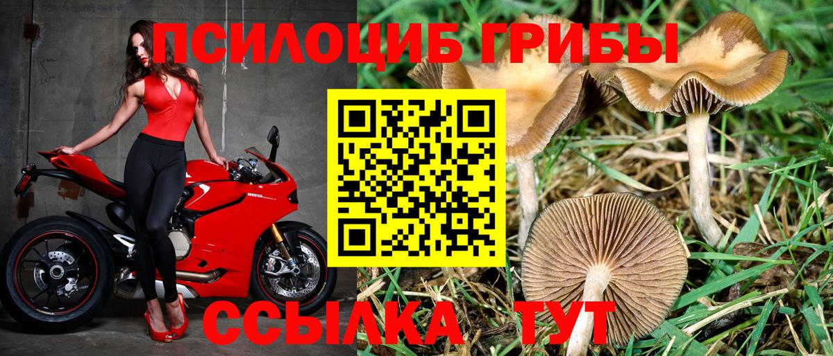 Галлюциногенные грибы ЛСД  Вход с VPN  Магадан 