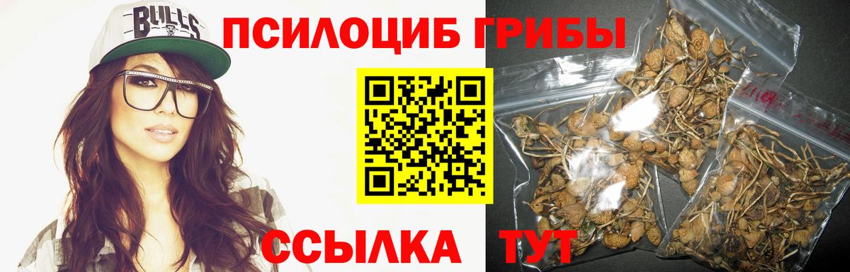Галлюциногенные грибы MAGIC MUSHROOMS Магадан